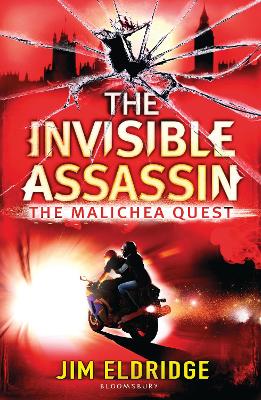 Invisible Assassin book