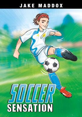 Soccer Sensation book