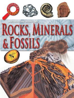 Rocks & Fossils book