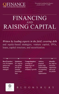 Financing and Raising Capital book