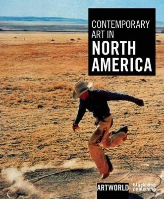 Contemporary Art in North America book