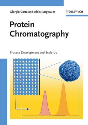 Protein Chromatography by Giorgio Carta