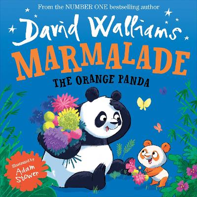 Marmalade: The Orange Panda by David Walliams