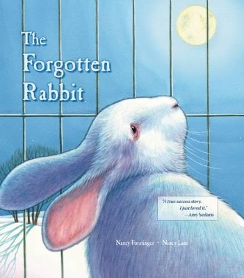 Forgotten Rabbit book