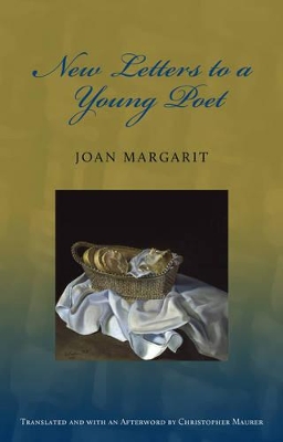 New Letters to a Young Poet book