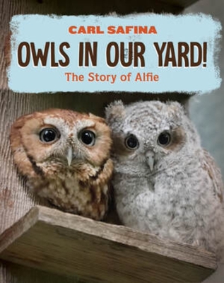 Owls in Our Yard!: The Story of Alfie book