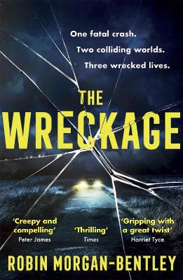 The Wreckage: The gripping thriller that everyone is talking about book