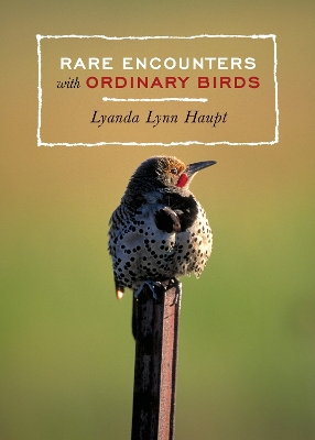 Rare Encounters With Ordinary Birds book