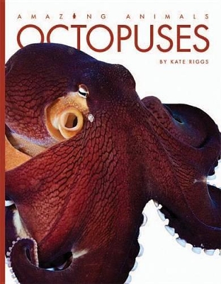Octopuses by Kate Riggs