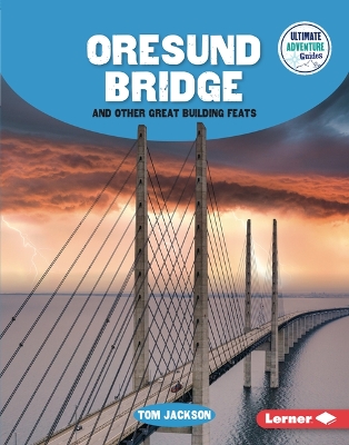 Oresund Bridge and Other Great Building Feats book