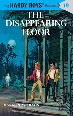 Disappearing Floor book