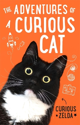 The Adventures of a Curious Cat: wit and wisdom from Curious Zelda, purrfect for cats and their humans book