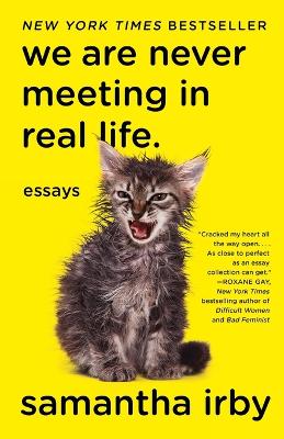 We Are Never Meeting in Real Life. book