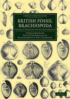 British Fossil Brachiopoda by Thomas Davidson