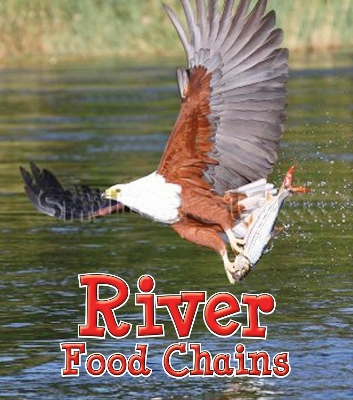 River Food Chains book
