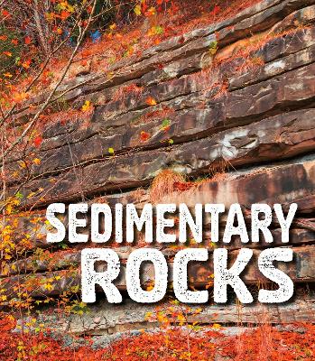 Sedimentary Rocks book