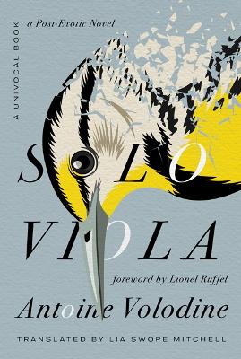 Solo Viola: A Post-Exotic Novel book