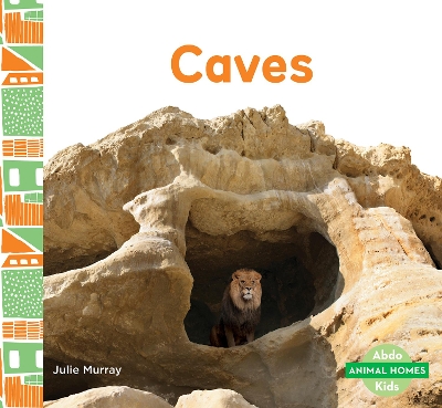 Caves book