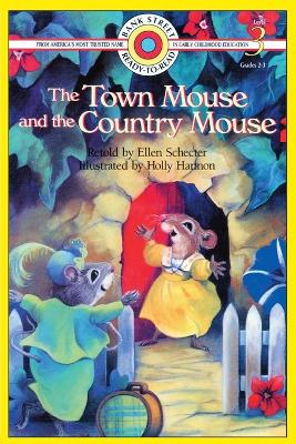 The Town Mouse and the Country Mouse: Level 3 book