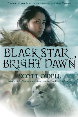 Black Star, Bright Dawn book