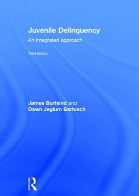 Juvenile Delinquency by James Burfeind