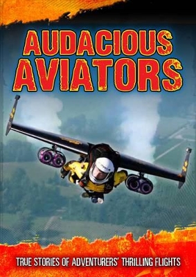 Audacious Aviators by Jen Green