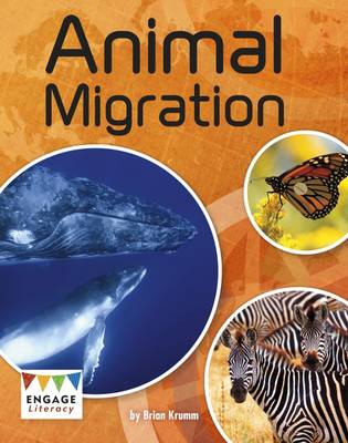 Animal Migration book