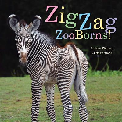 ZigZag ZooBorns!: Zoo Baby Colors and Patterns book