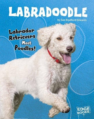 Labradoodle: Labrador Retrievers Meet Poodles! book
