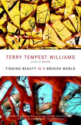 Finding Beauty in a Broken World book