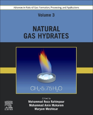 Advances in Natural Gas: Formation, Processing, and Applications. Volume 3: Natural Gas Hydrates book