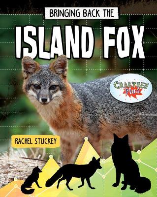 Bringing Back the Island Fox by Rachel Stuckey