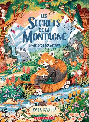 Les Secrets de la Montagne book