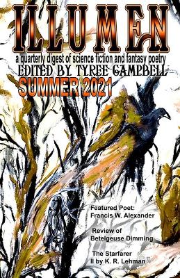 Illumen Summer 2021 book
