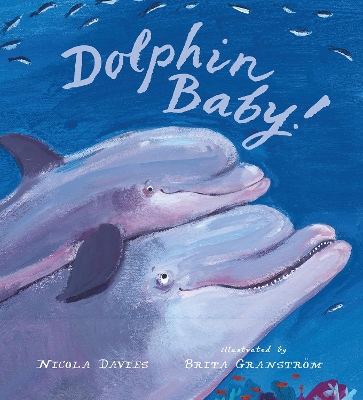 Dolphin Baby by Nicola Davies