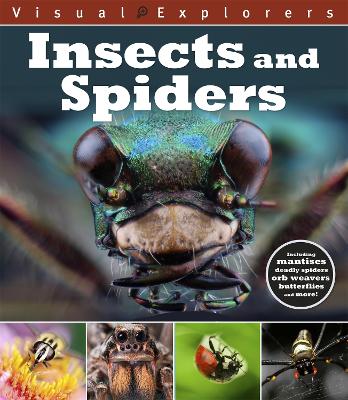 Visual Explorers: Insects and Spiders book