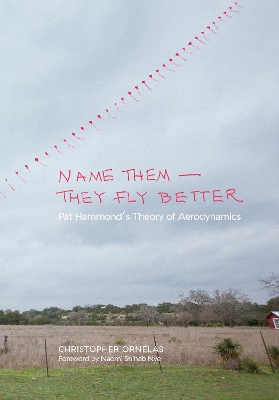 Name Them-They Fly Better book