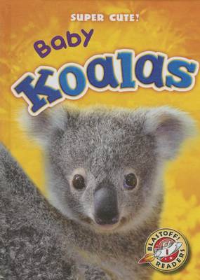 Baby Koalas book