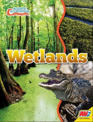 Wetlands by John Willis