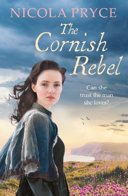 The Cornish Rebel book