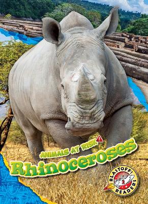 Rhinoceroses book