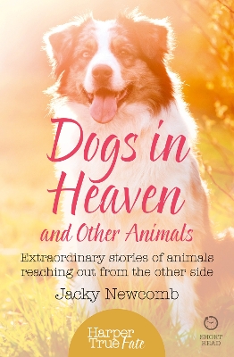 Dogs in Heaven: and Other Animals book