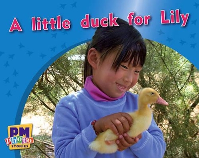 A little duck for Lily book