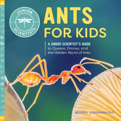 Ants for Kids book