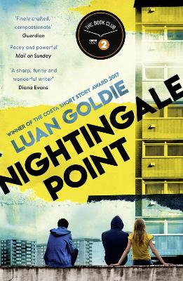 Nightingale Point by Luan Goldie