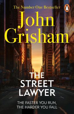 Street Lawyer book