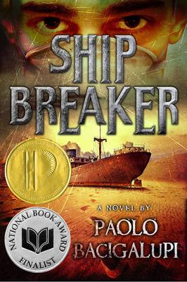 Ship Breaker book
