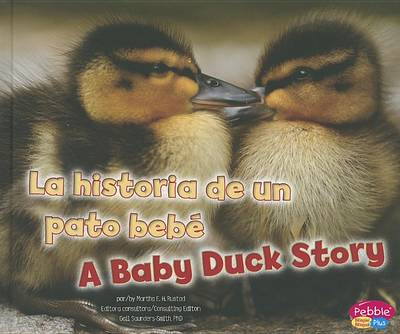 Historia de un Pato Bebe/A Baby Duck Story by Martha E. H. Rustad
