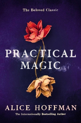 Practical Magic book