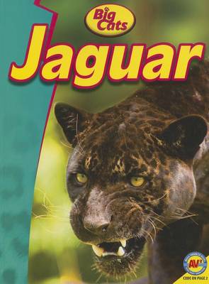 Jaguar by Lauren Diemer